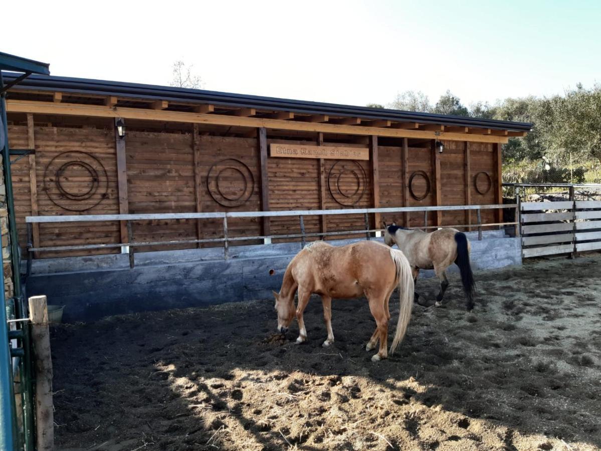 B&B Etna Ranch Piedimonte Etneo Exterior photo
