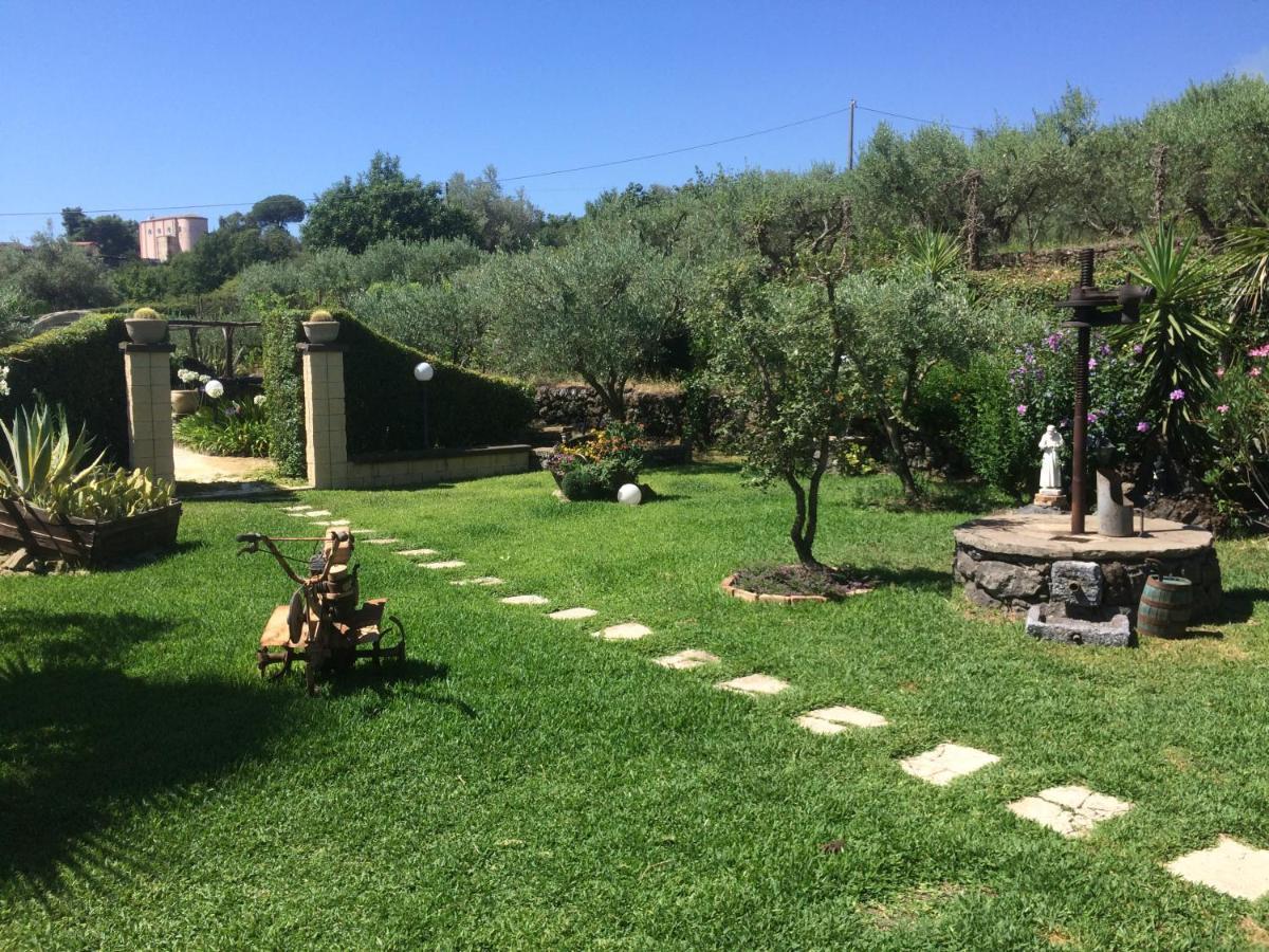 B&B Etna Ranch Piedimonte Etneo Exterior photo