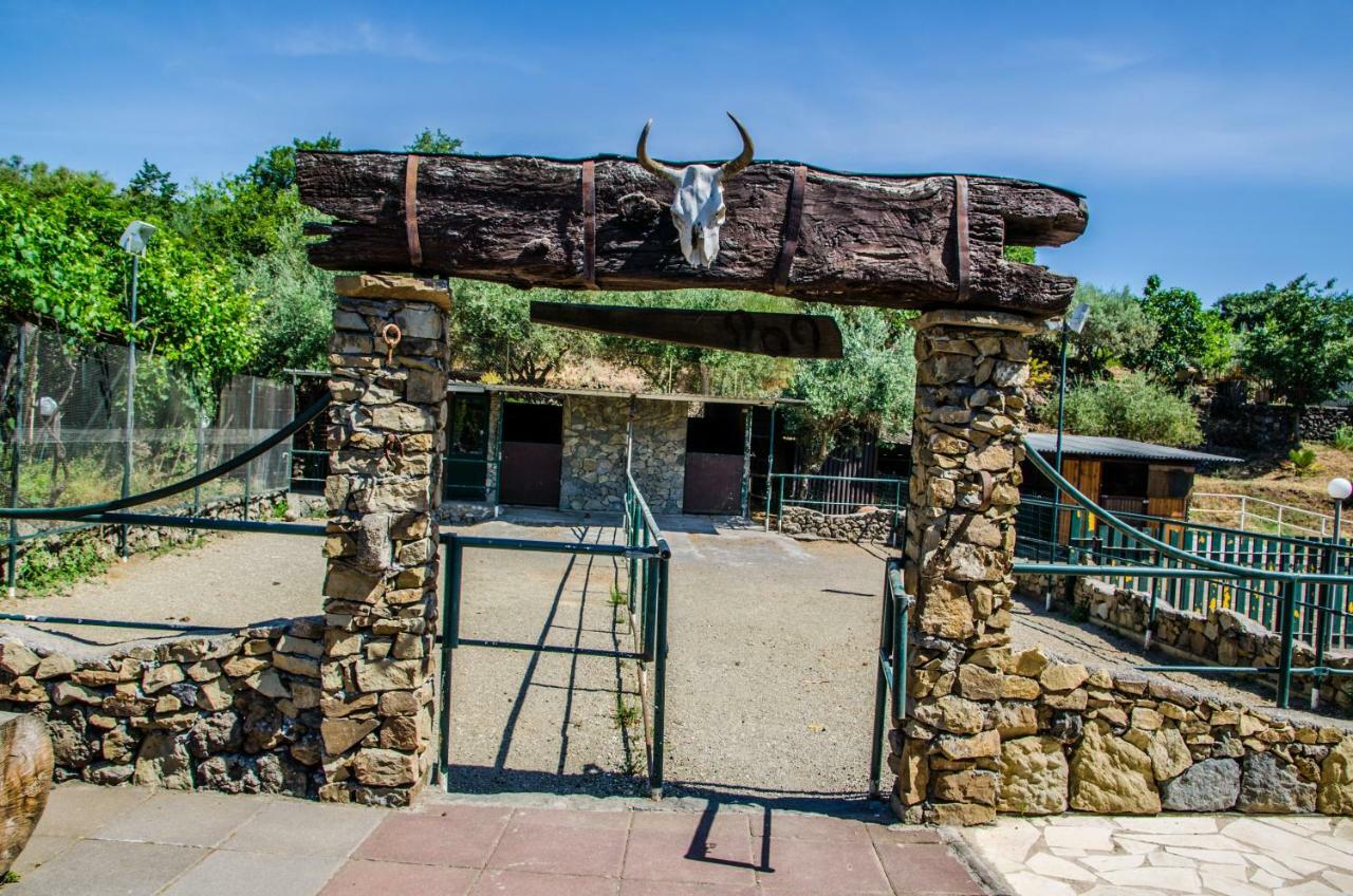 B&B Etna Ranch Piedimonte Etneo Exterior photo
