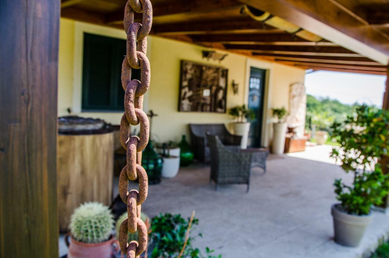 B&B Etna Ranch Piedimonte Etneo Exterior photo